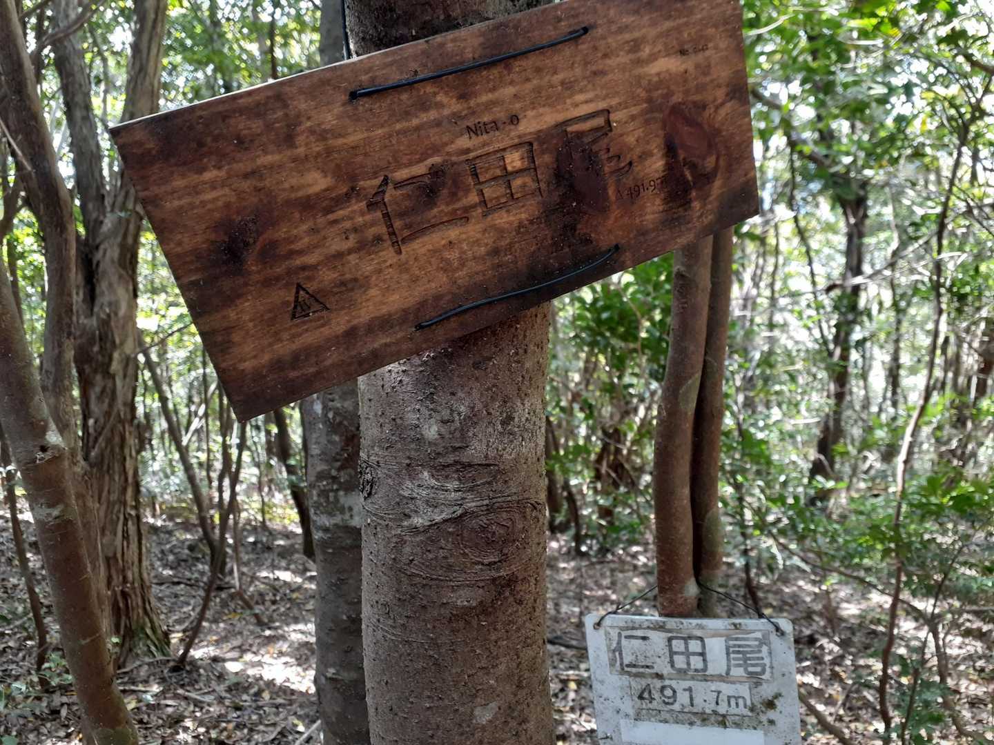 標識もしっかりありますが、
YAMAP登録の山ではありません🙅‍♂️
いつか山になるかな🤔