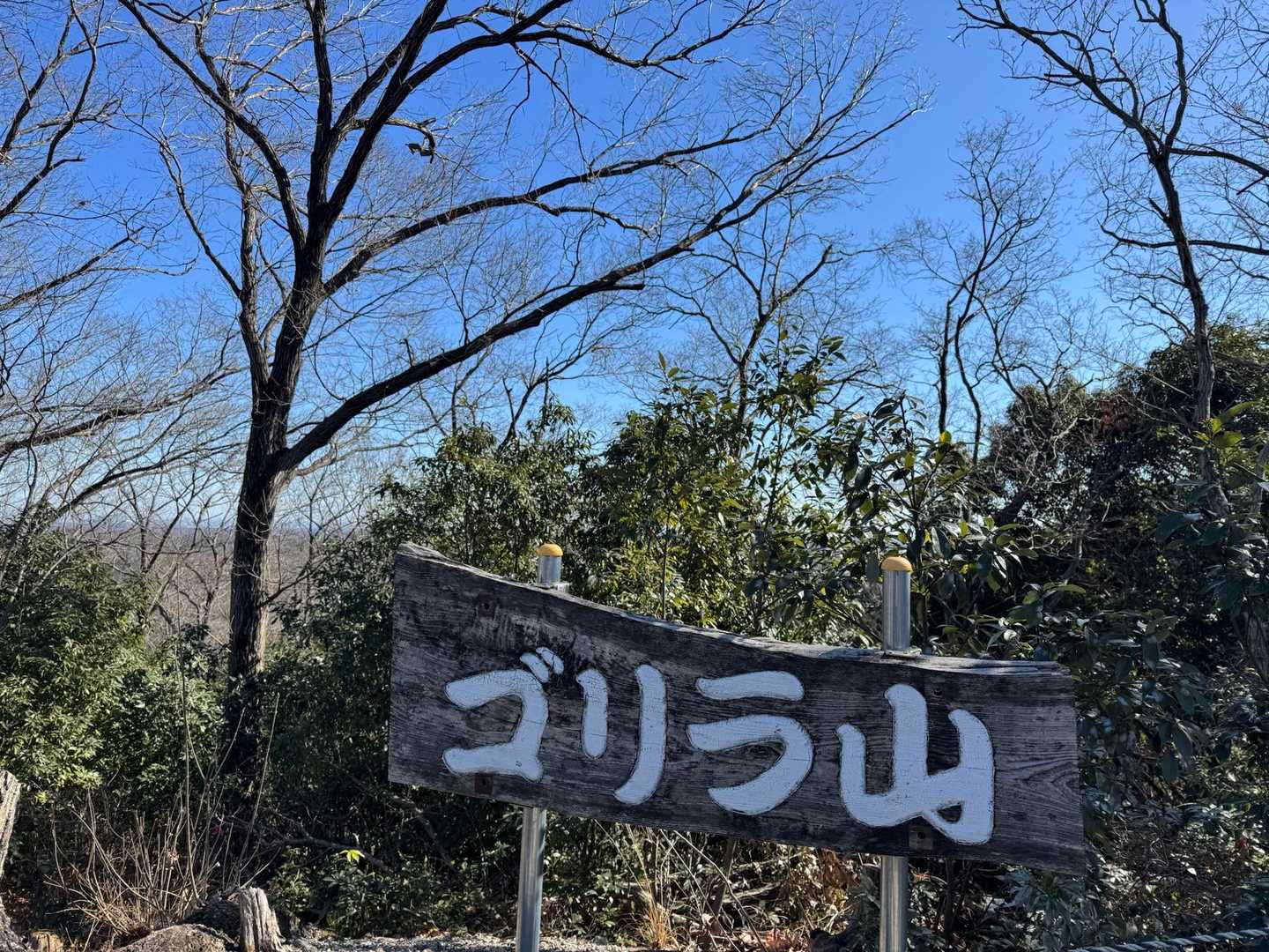 ゴリラ山山頂
