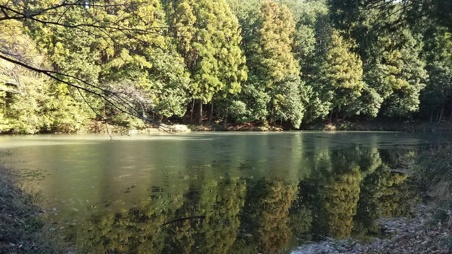 天王沼。氷張ってる…やっぱりまだ冬だったか