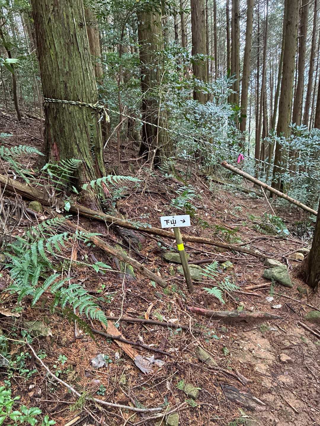 地図の破線はまっすぐだが下山道は右へ