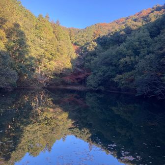 堤に映った青空と浮いた落ち葉🍁と😊
