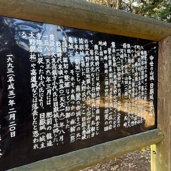 山頂標識を探すも見当たらず