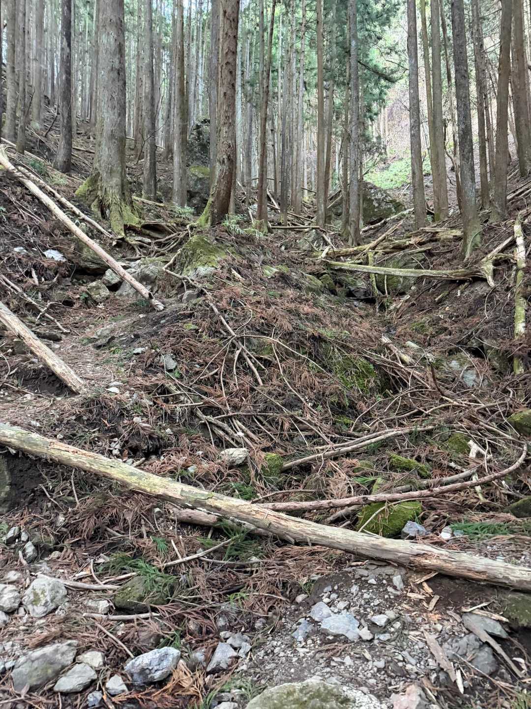 荒れ果てた道