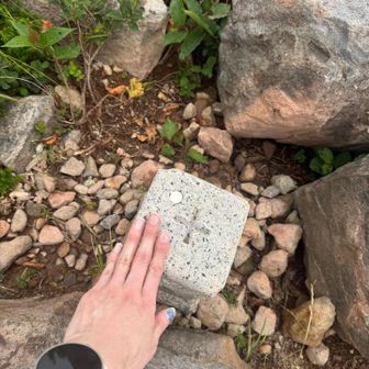 山頂から少し離れたところにあった