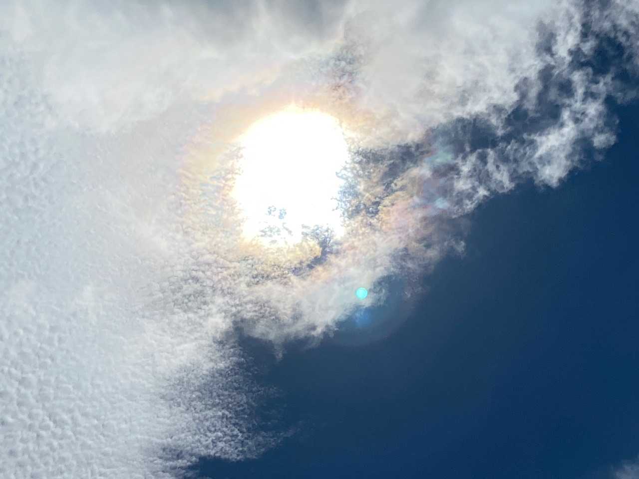 真夏に比べ、太陽のギラギラ感が変わってきたよ