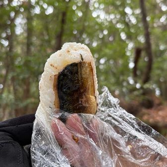 アッコさんの鯖おにぎり🍙絶品