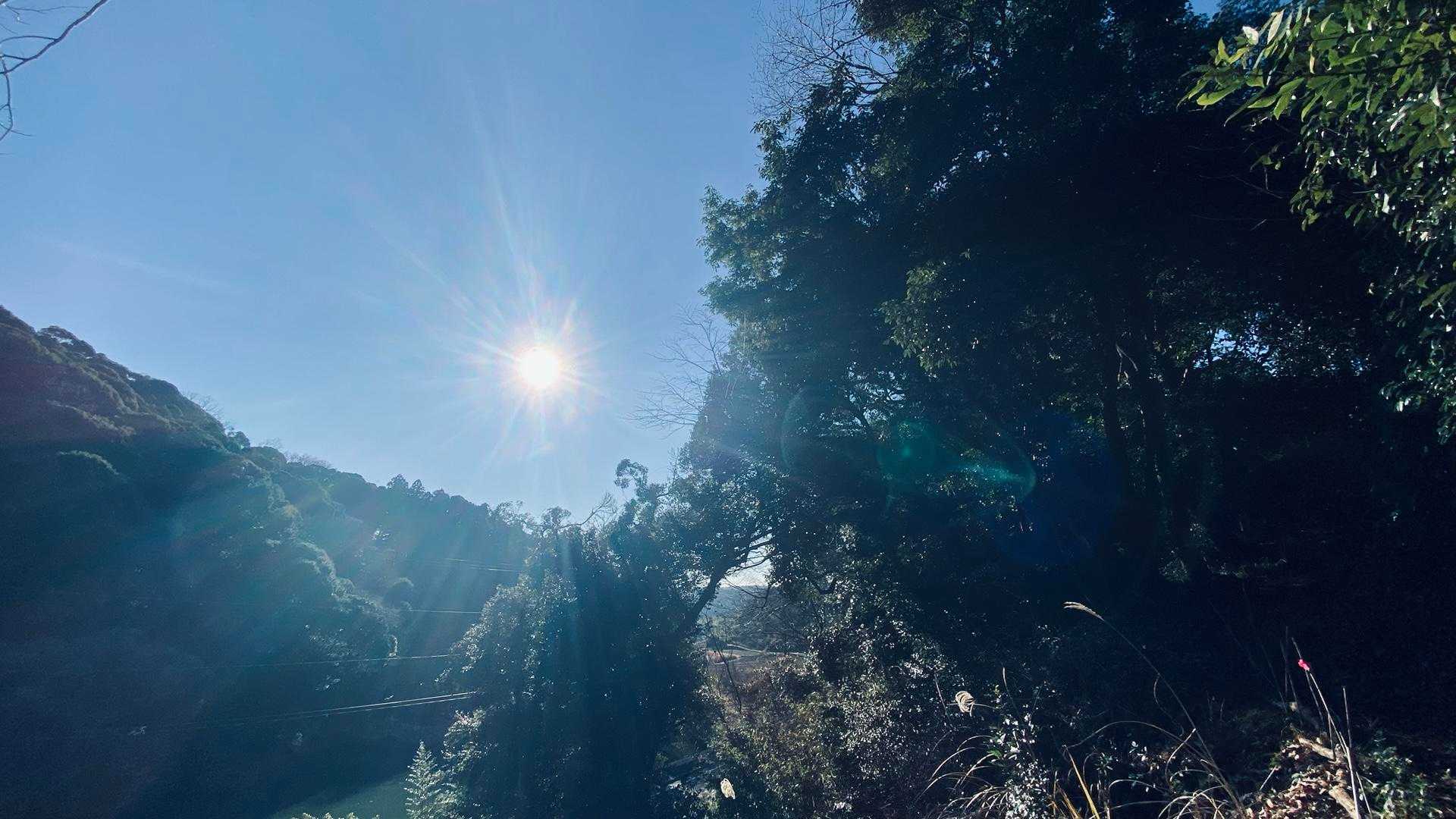 風はちょっと冷たいけど、いいお天気✨