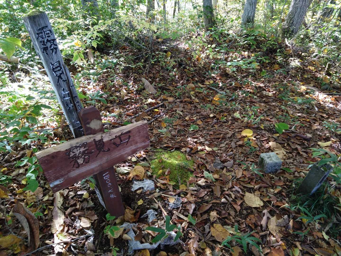 2つ目のピーク「霧見岳」、眺望無し