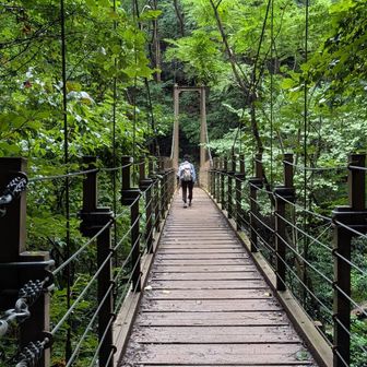 毎度お馴染み吊り橋😅