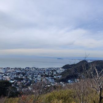 何故か仙元山まで来てしまったが、富士山は見えない😅

あと、トイレが頂上からもうなくなってましたね。工事の事は聞いてましたが。確か教会の横辺りに新しいのが出来たんでしたっけ？

あと、そのトイレ跡の後ろから、もう一つのバリルートがあるのですが、今や笹薮でどこなのか分からん様になってました。