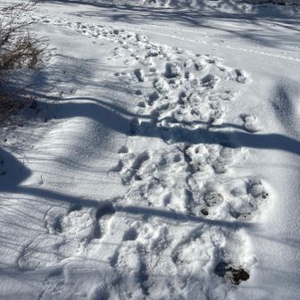 登山口から雪がついてました