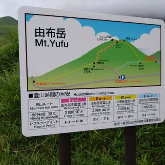 新しい看板