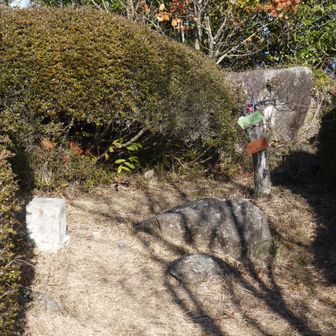 あっ、ずーっと展望台が山頂とばかり思ってましたが、こんなところに標識と三角点が。