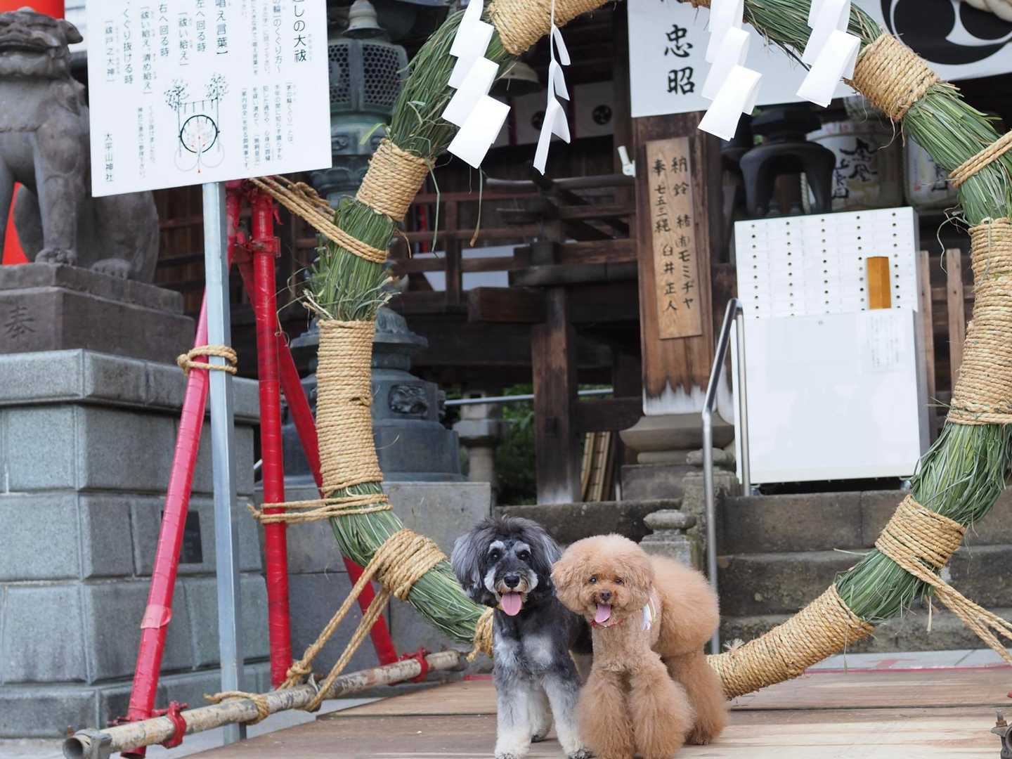 太平山表参道入口-太平山 往復コースの写真