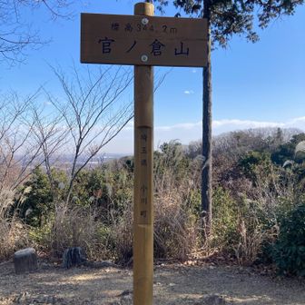 金勝山ではほとんど人に合わなかったのですが、官ノ倉山頂上にはたくさんの人が
きれいなベンチもありゆっくりできます。
この後、ごはんタイムでしたがお腹がすきすぎておやつタイムに

友人の息子さんが2時間並んで買ってきてくれた大好物の紅谷のくるみっ子いただきました。
写真を撮るのも忘れるくらいペロリと