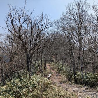 南東。頂上へ来た道