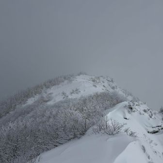 どこを歩けばいいのか分からず撤退