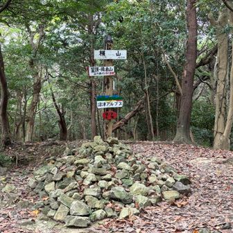 横山の頂上はいきなり現れるといつも思う