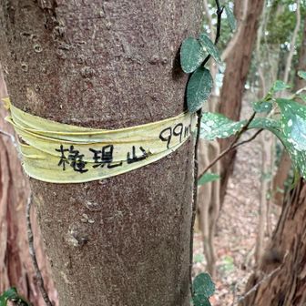 ありました！
小さなテープに権現山と書いてあります😅
