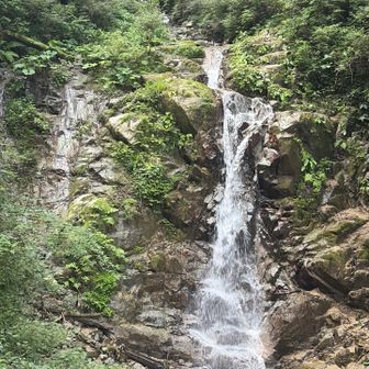 沢沿いは滝があるとテンション上がります