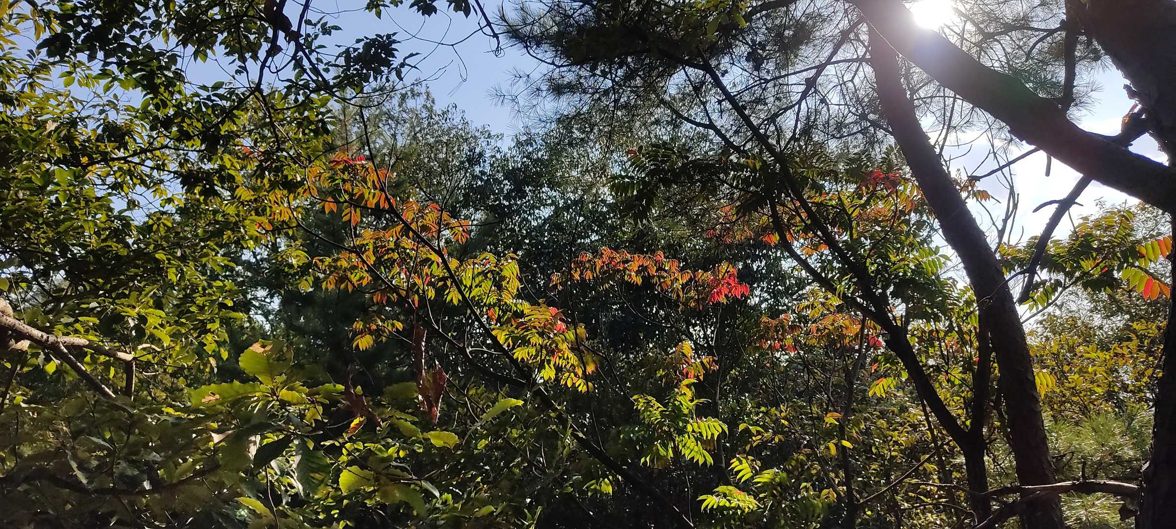おしまい🎃👋
