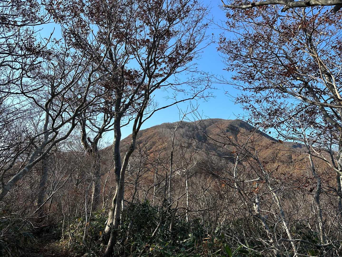 やっと大境山をロックオン、おぉっ！とため息でました、とてもきれいな姿です