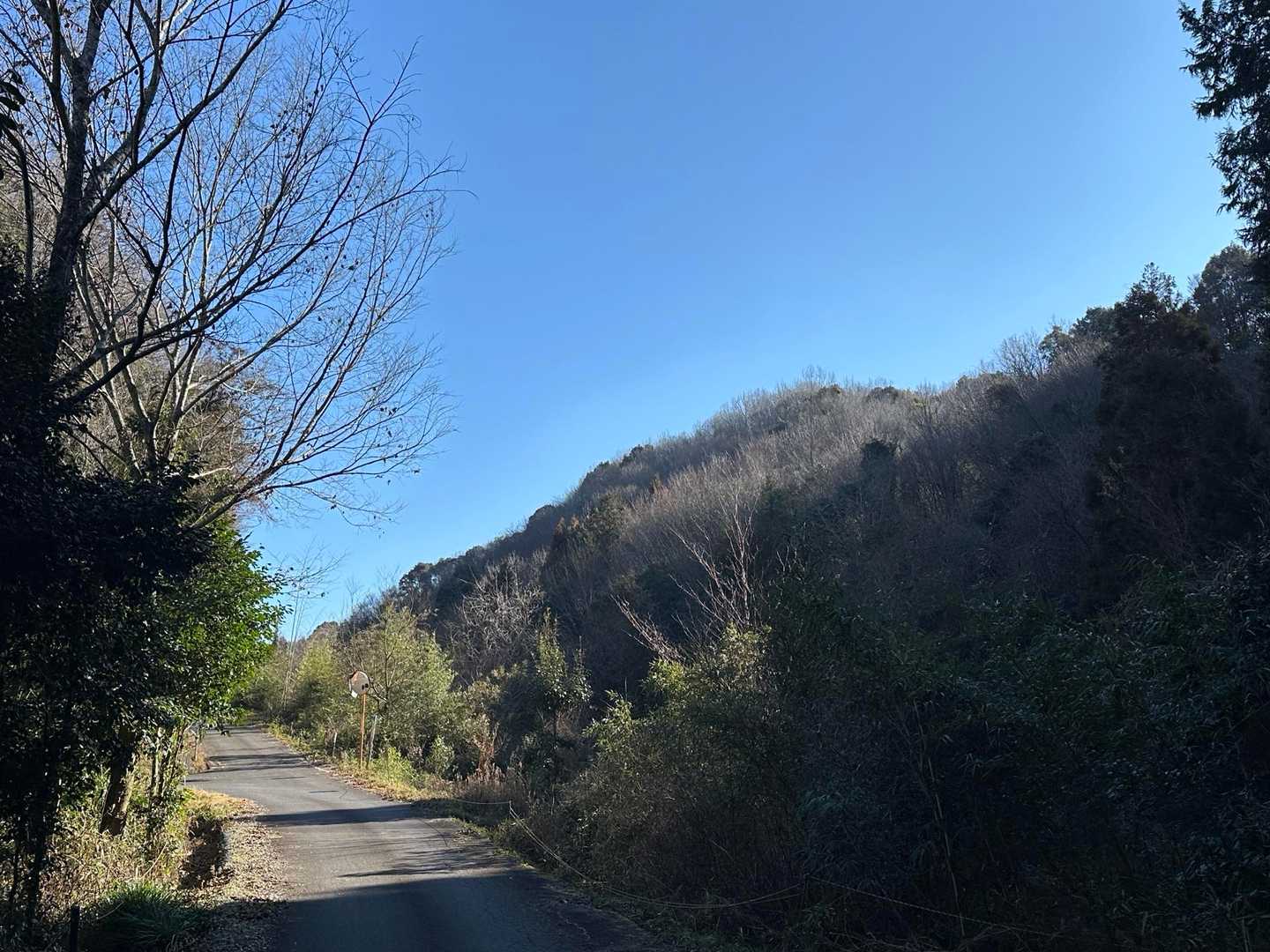 大谷山展望台入り口-大谷山 往復コースの写真