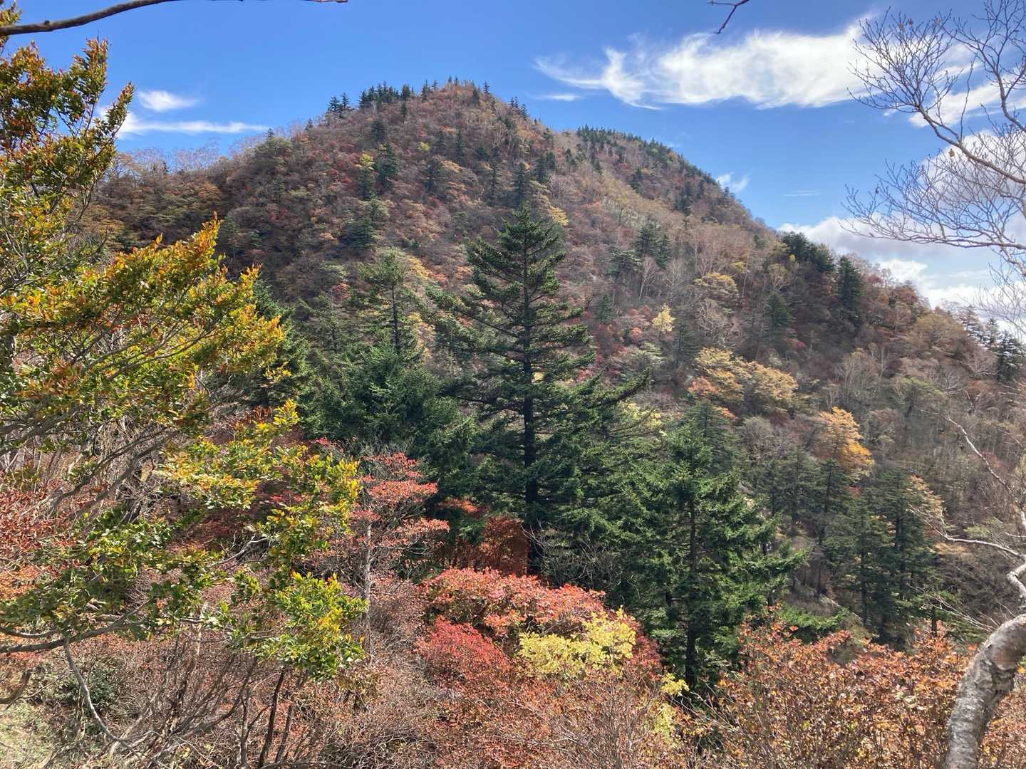 釈迦ヶ岳（高原山）往復コースの写真