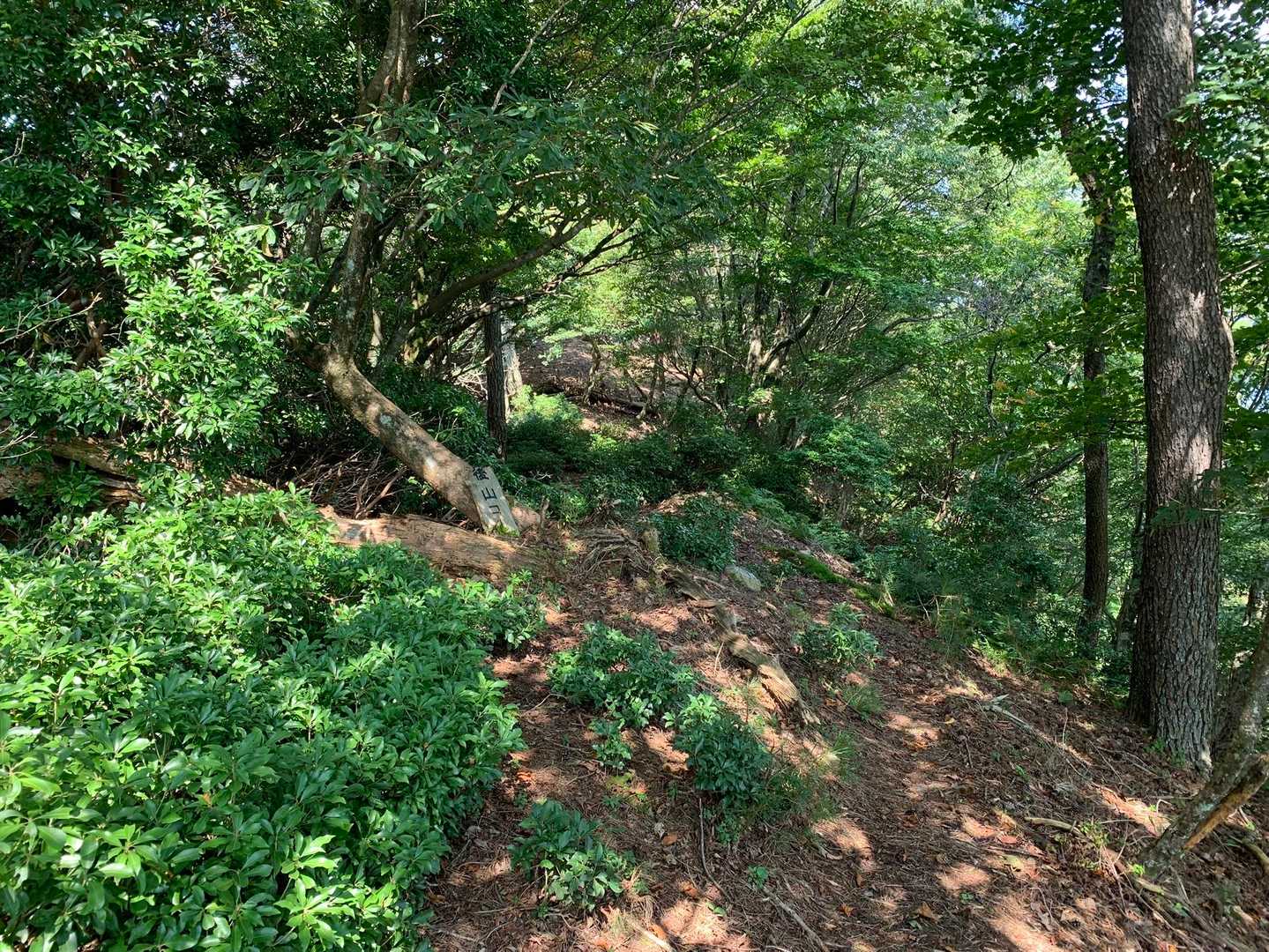 笛石山山頂②
後山へ繋がる山道も