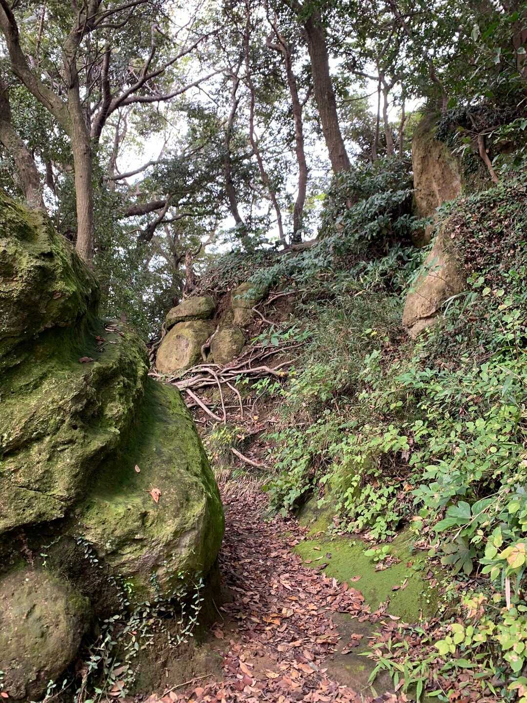 鷲峰山の写真