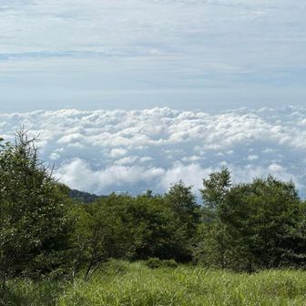 雲海が真夏感満載ですね