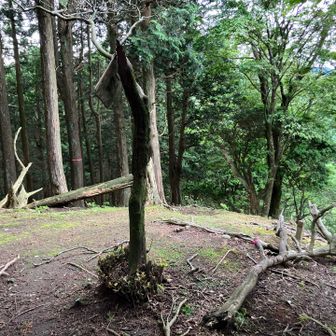 稲子山南峰　時間ないので(急降なので)稲子山まで行かずにここで引き返した