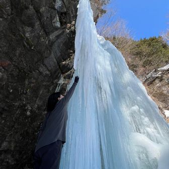 ぷにぷにプリン