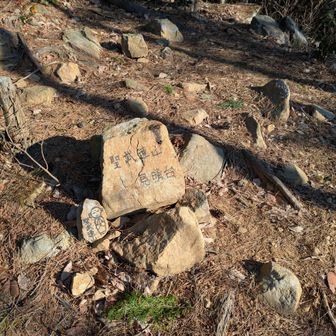 もうひとつ　冠羽（あたまの羽）を描くために　聖武連山見晴台まで登り　ピストン