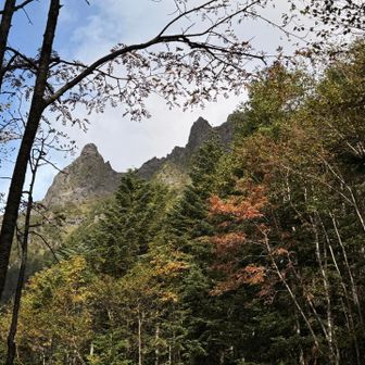 大同心、小同心
