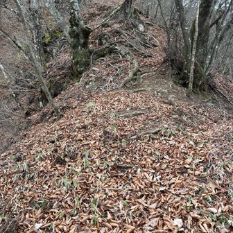 この先にも、斜度のキツい難所が！