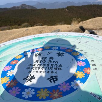 自分の影で遊ぶ🤣