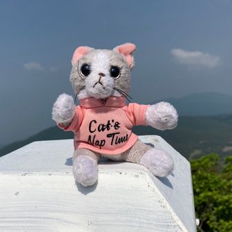 でしちゃん（riko）