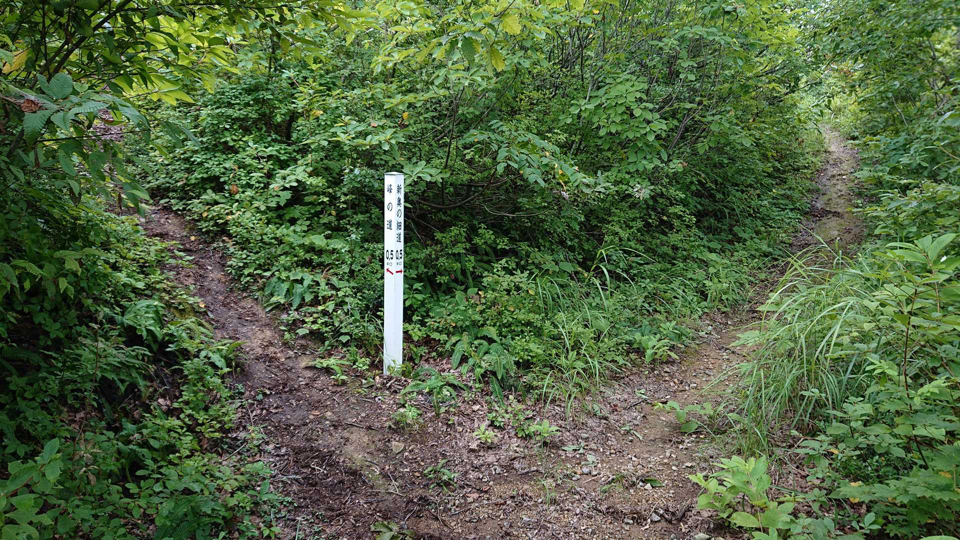 峰の道・新奥の細道分岐