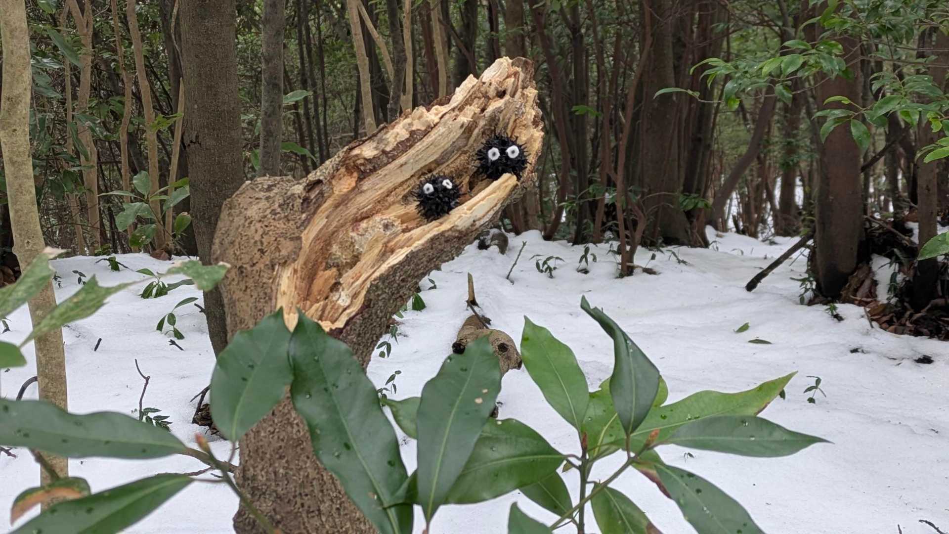 朝日山 往復コースの写真