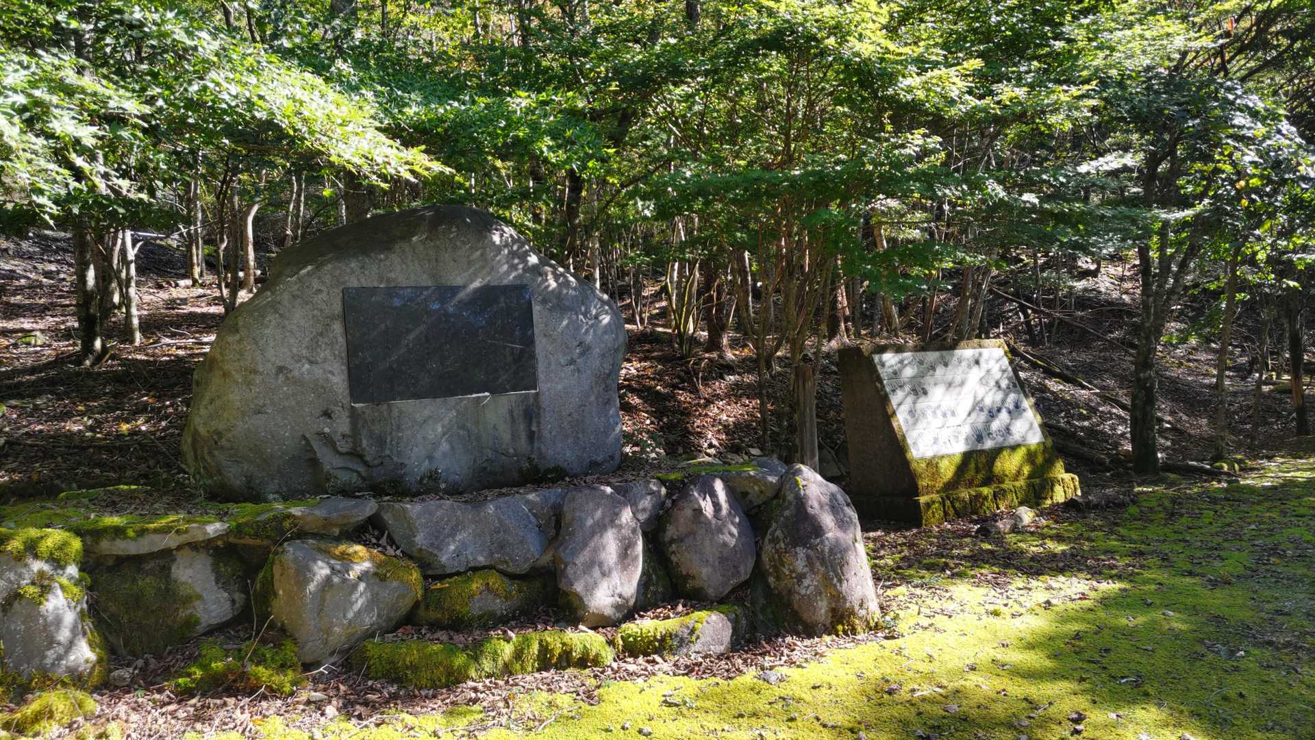 大谷崩登山口-新窪乗越-大谷嶺 往復コースの写真