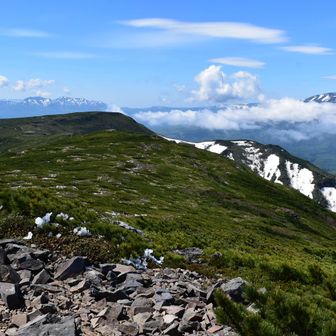 反対側はぺったんこ平山への稜線