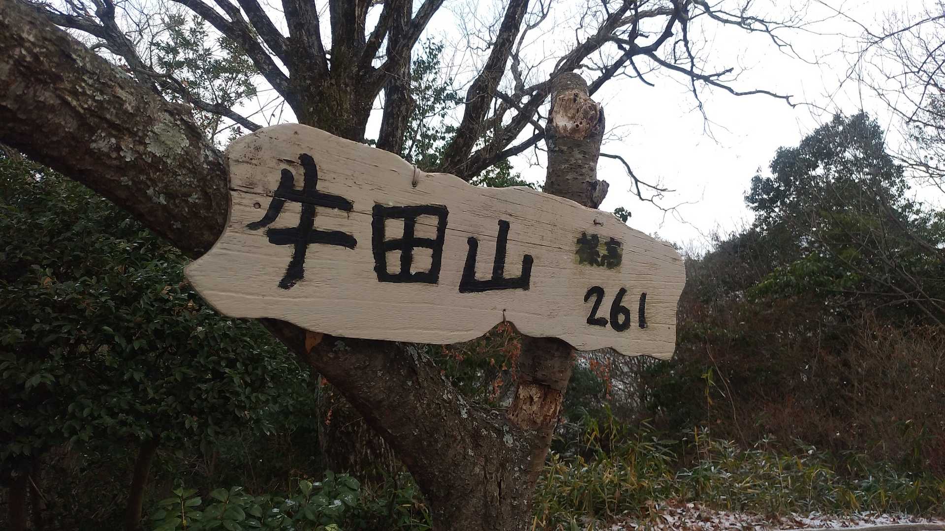 神田山-牛田山 往復コースの写真