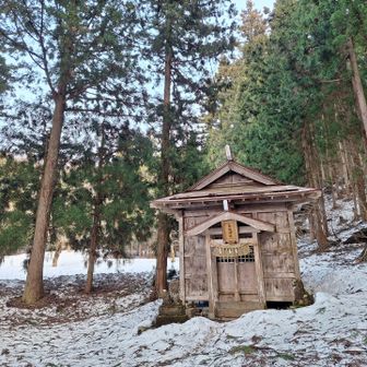 何人か登ってる鳥坂神社