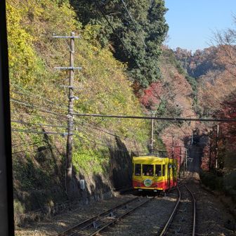 あおば号ともみじ号が真ん中あたりですれ違います。