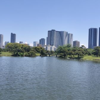 ここもグレーピークの八景山から。