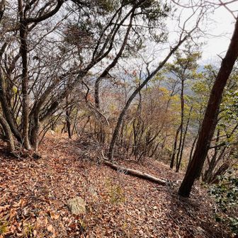 変態レベルの登山口からは鬼のような急登みたい