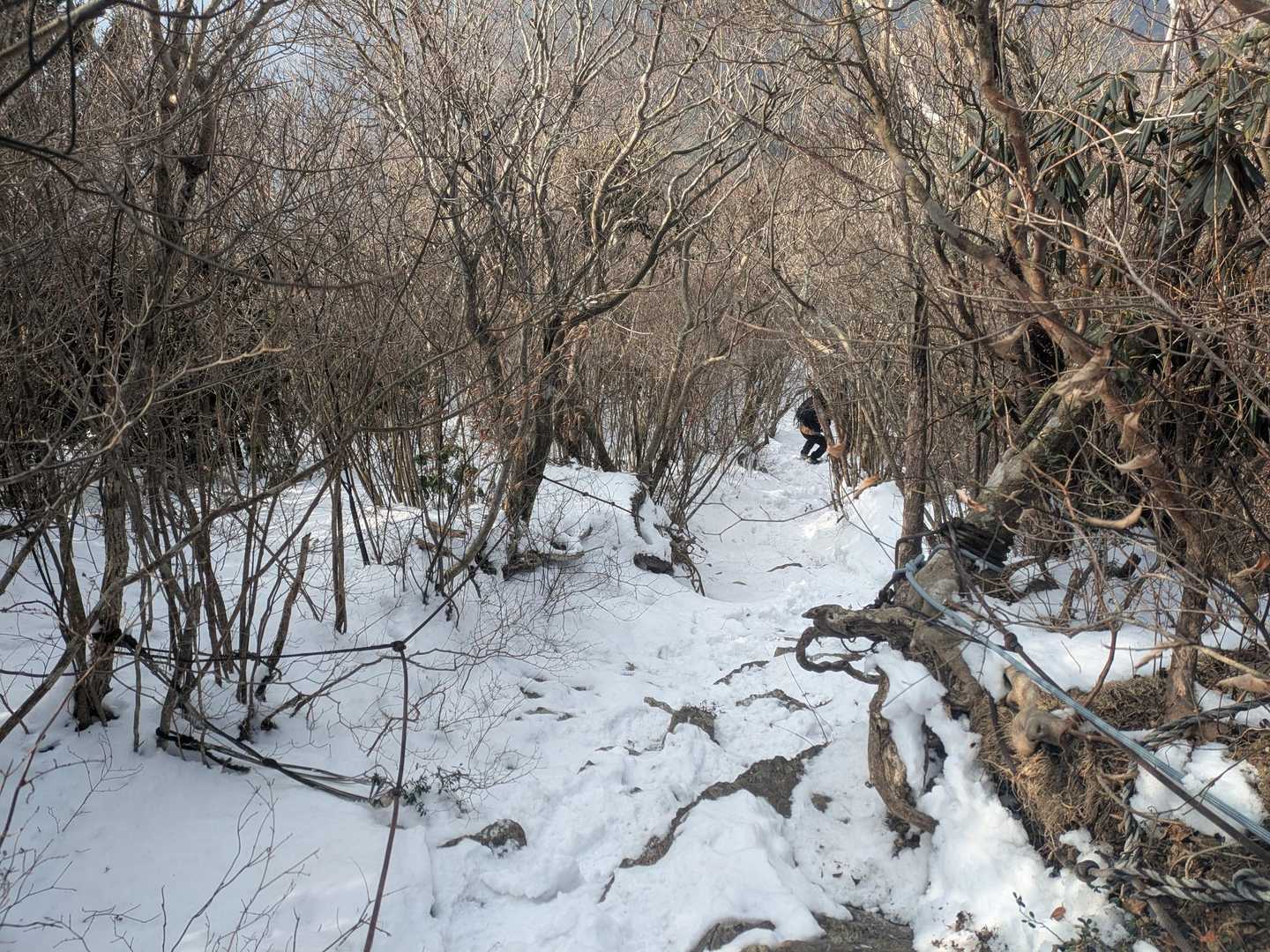 舞岳・経ヶ岳登山口-舞岳-経ヶ岳 周回コースの写真