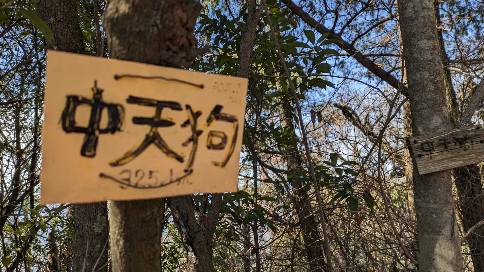 中天狗⛰山頂〜初めまして😊