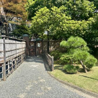 旧芝離宮恩賜庭園から浜離宮恩賜庭園に移動🚶‍➡️
